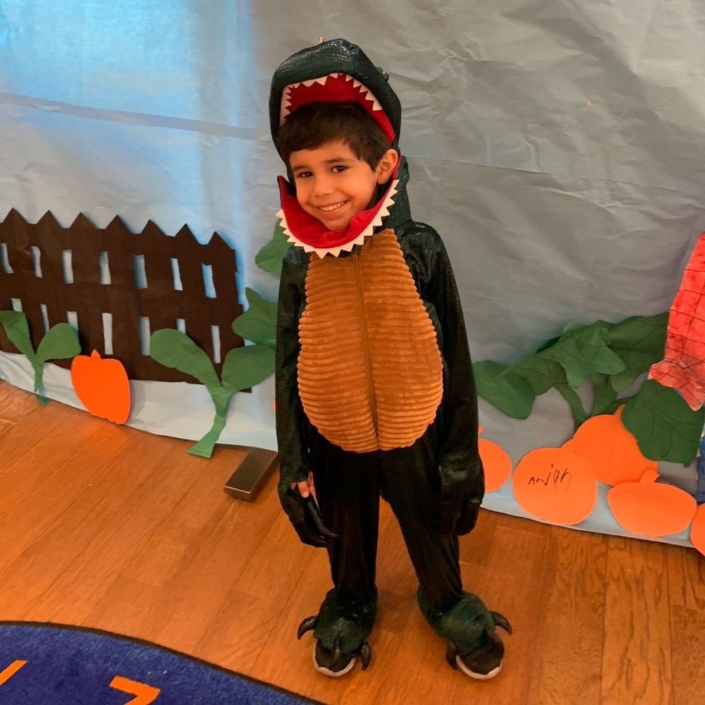 Dinosaur Costume Size 5T